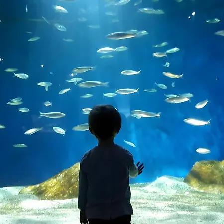 Appartamento Le Saint-francois *